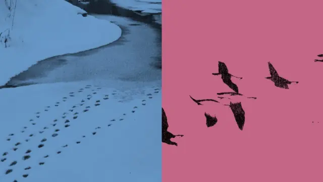 Anthropic 研究多智能体系统中的协调失效问题